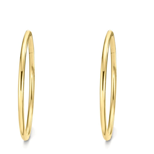 Hoop earrings Silver Gold plated