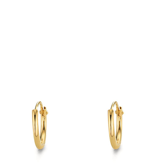 Hoop earrings Silver Yellow Gold plated