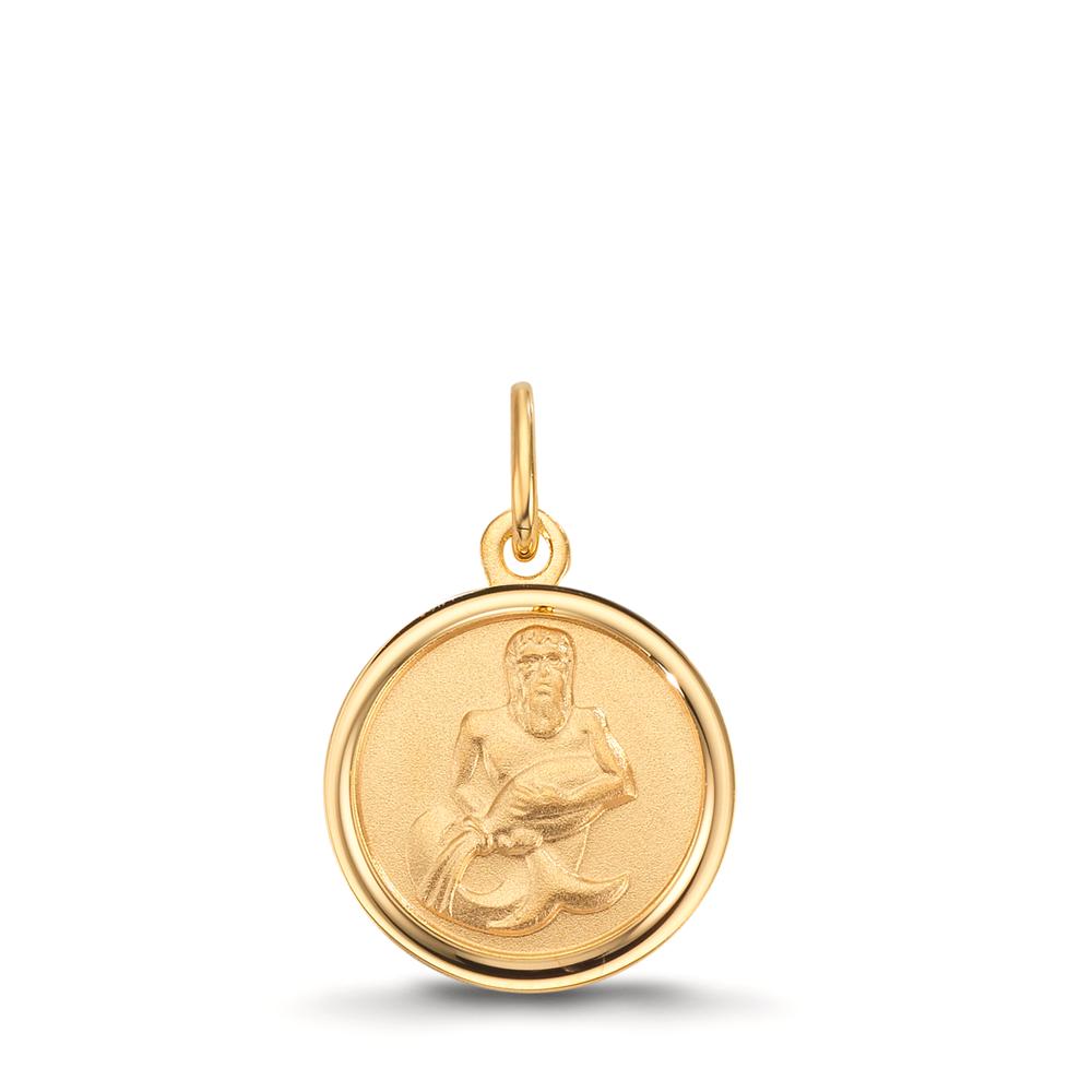 Engravable pendant 9k Yellow Gold Zodiac Sign Aquarius Ø12 mm