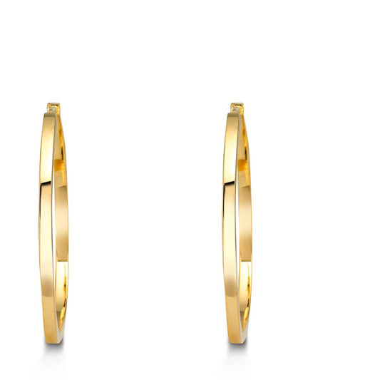 Hoop earrings Silver Yellow Gold plated